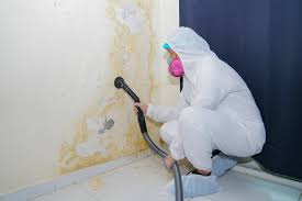 Best Commercial Mold Inspection  in Orion, IL